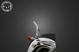 イントルーダーLC250　極太φ38シーシーバーショート(メッキ)純正フェンダー専用