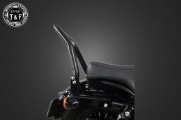 スポーツスター　極太φ38シーシーバーミディアム(ブラック)純正フェンダー専用